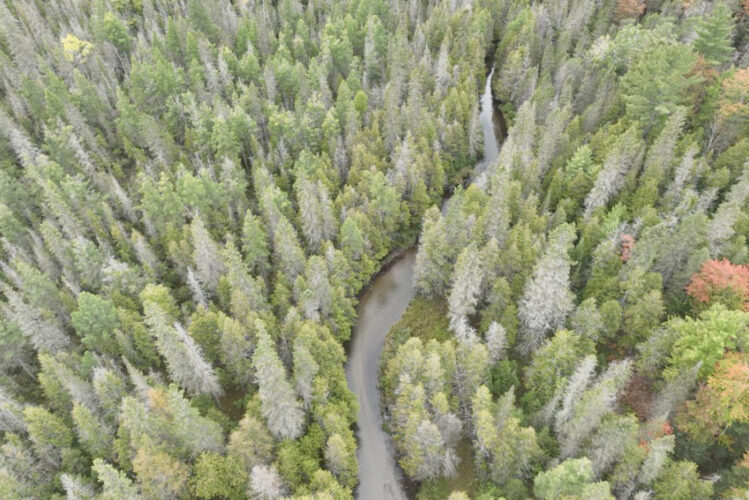 Michigan selling over 120 plots of land
